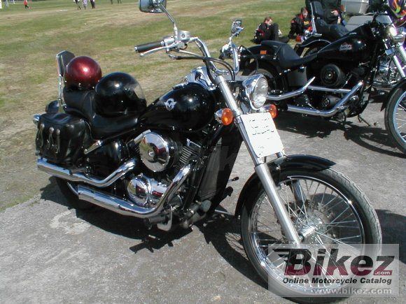 1996 Kawasaki VN 800 photo